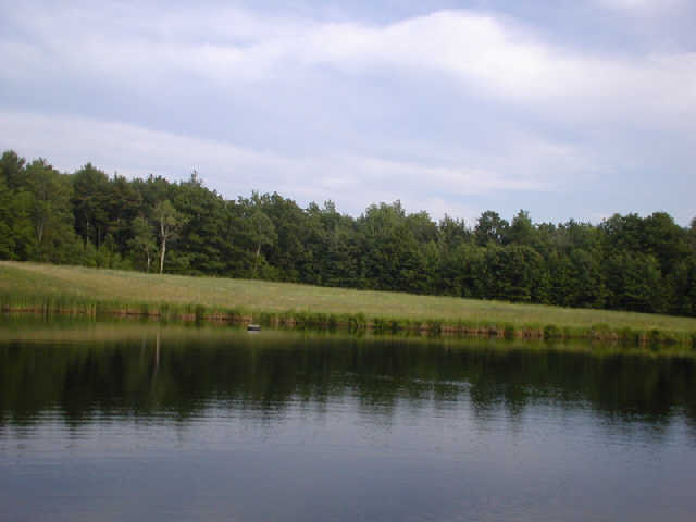 pond.jpg (35408 bytes)